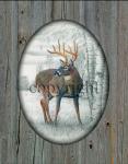 "Whitetail Deer" - 11" x 14" with printed barn wood