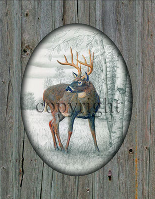 "Whitetail Deer" - 11" x 14" with printed barn wood picture