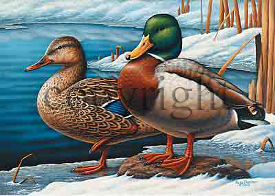 "Winter Visitors" - paper offset lithos