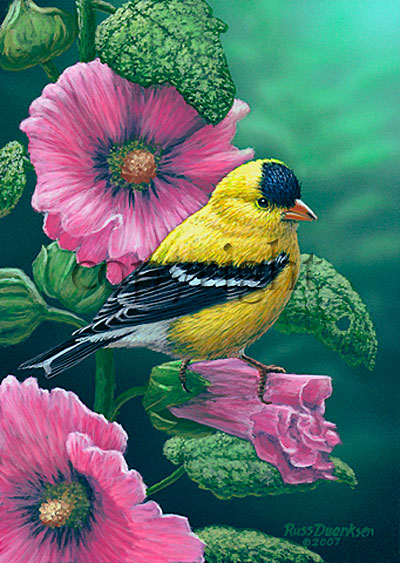 Goldfinch on Hollyhocks - Giclee Canvas picture