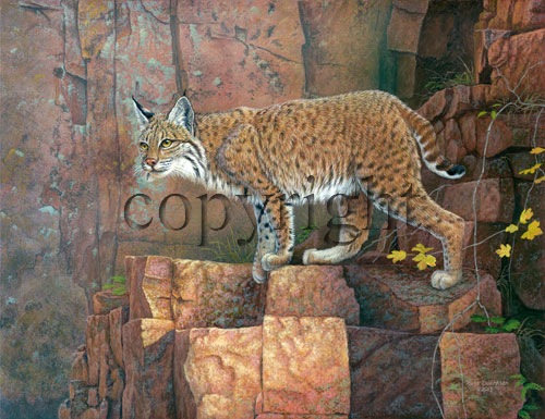 "On The Prowl" - Giclee Canvas picture