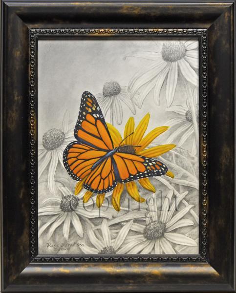 "Monarch" - mixed media including acrylic and pencil picture