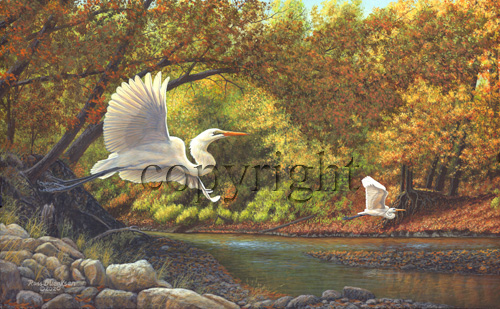 "Graceful Egrets"  - Giclee Canvas picture