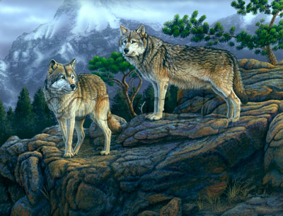 "Wolf Empire"  - Giclee Canvas picture