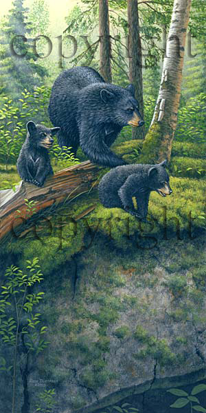 "Young Explorers"  - Giclee Canvas