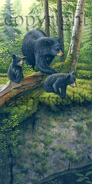 "Young Explorers"  - Giclee Canvas picture