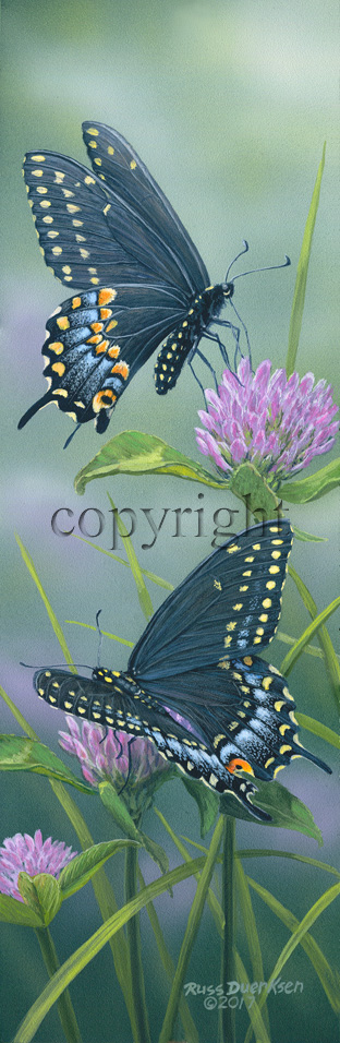 "Sweet Nectar" - Canvas giclee picture