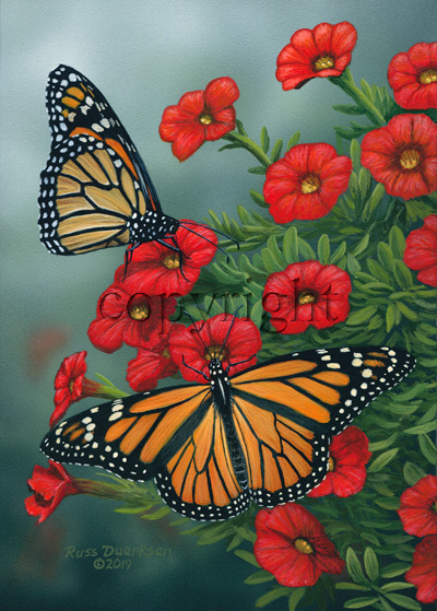 Monarchs - Canvas Giclee picture