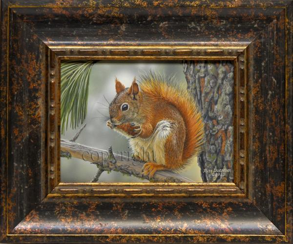 "Red Squirrel" - original acrylic painting picture