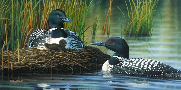 "Family Bond"  - Giclee Canvas picture