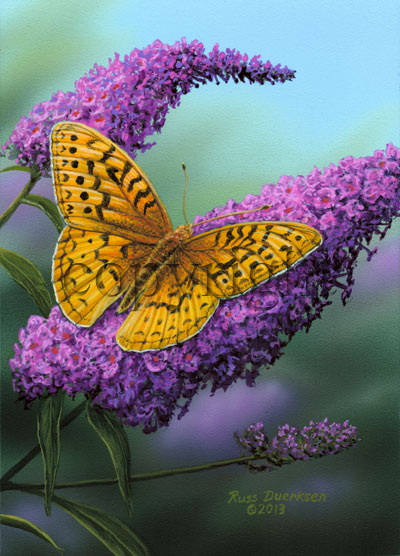 Great Spangled Fritillary - Canvas Giclee picture