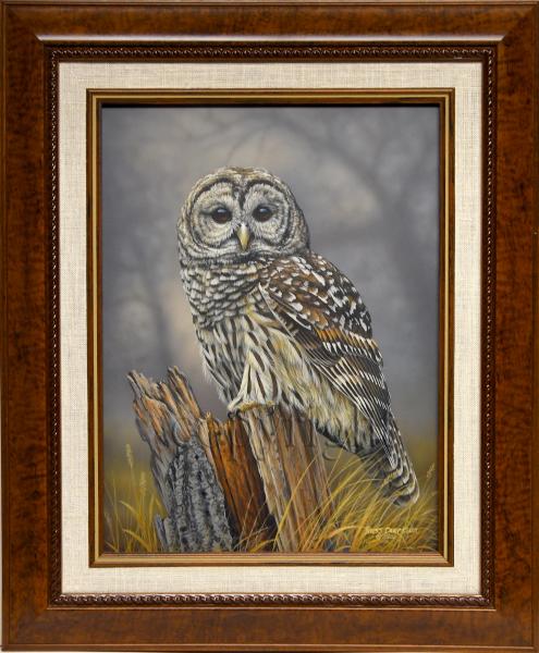 "Birds of Prey - Barred Owl" - original acrylic painting picture