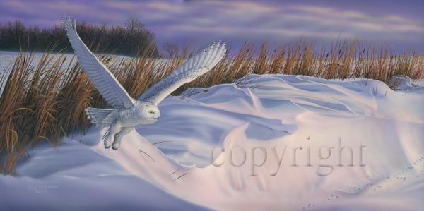 "Drifter"  - Giclee Canvas picture