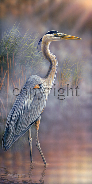 "Morning Peace"  - Giclee Canvas picture