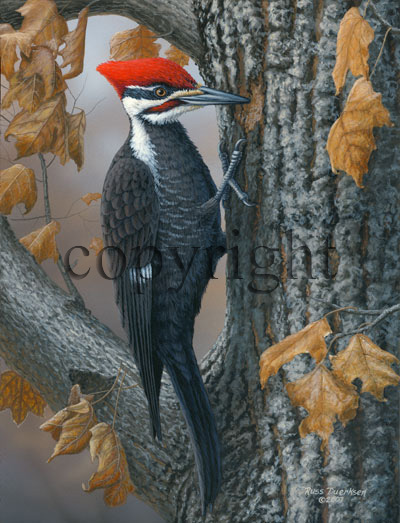 "Wood Carver" - Giclee Canvas picture