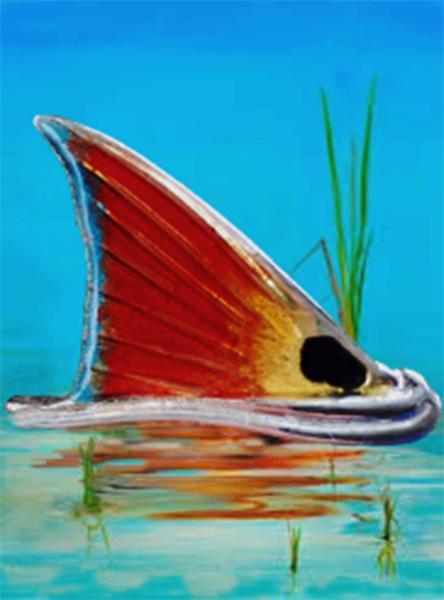 Address Sign  - Redfish Jewel
