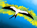 Swallow-tailed Studio Arts