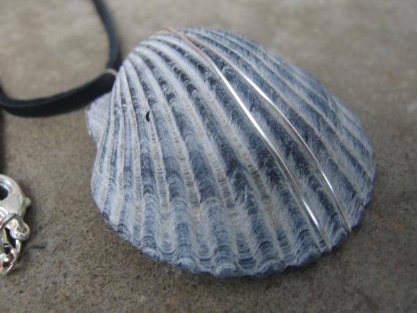 Seashell Wire Wrapped Leather Necklace picture