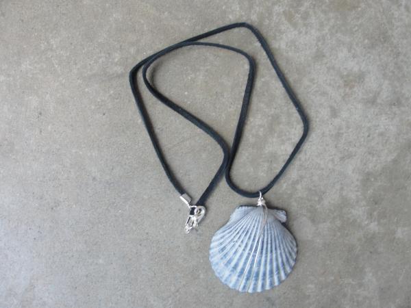 Seashell Wire Wrapped Leather Necklace picture