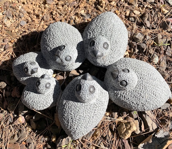 Happy Quail Family picture