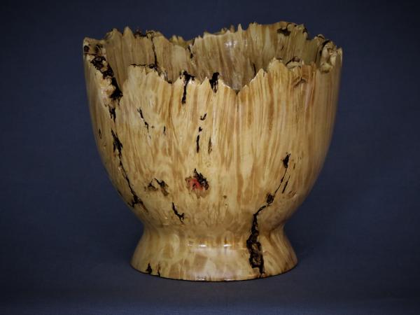 #622 Unknown burl vessel