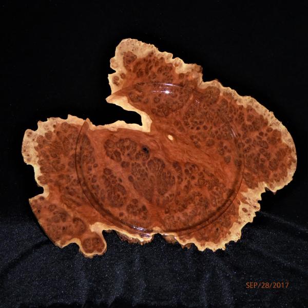 #391 Red Coolibah burl picture