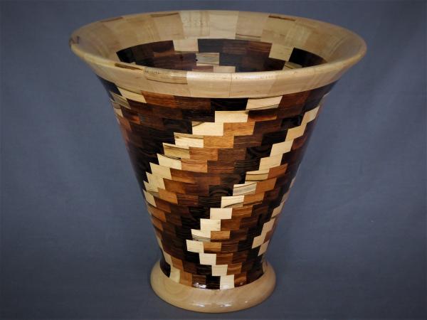 #747 Segmented vessel picture