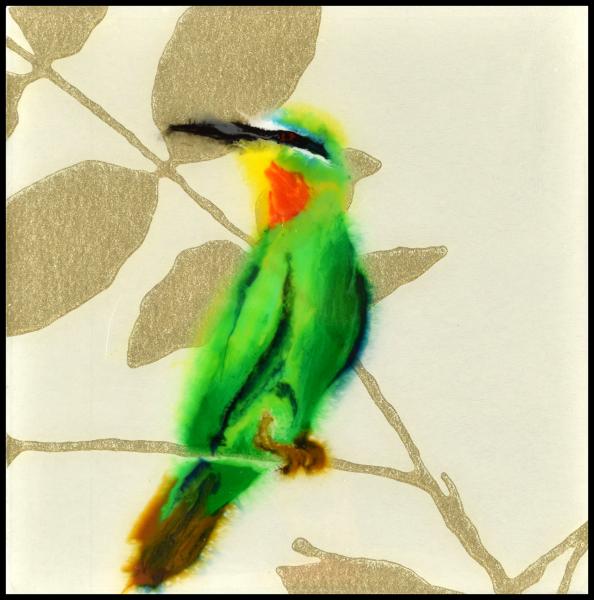 Blue Cheeked Bee-Eater 2