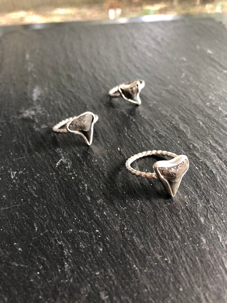 Vazon Shark Tooth Ring in Sterling Silver Eventeny