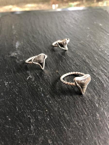 Vazon Shark Tooth Ring in Sterling Silver