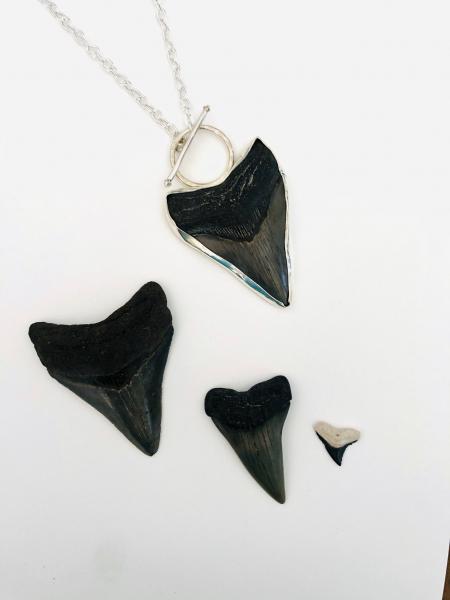 Vazon Megalodon Shark and Sterling Silver Sweetheart Toggle Necklace - 18" - Genuine Fossilized Shark Tooth from Southeastern USA - Florida - SC