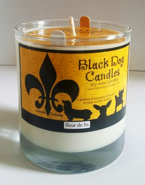 Glass tumbler soy wax candle - 9 oz picture