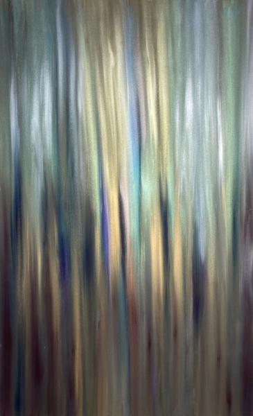 Soft Light Through the Trees
