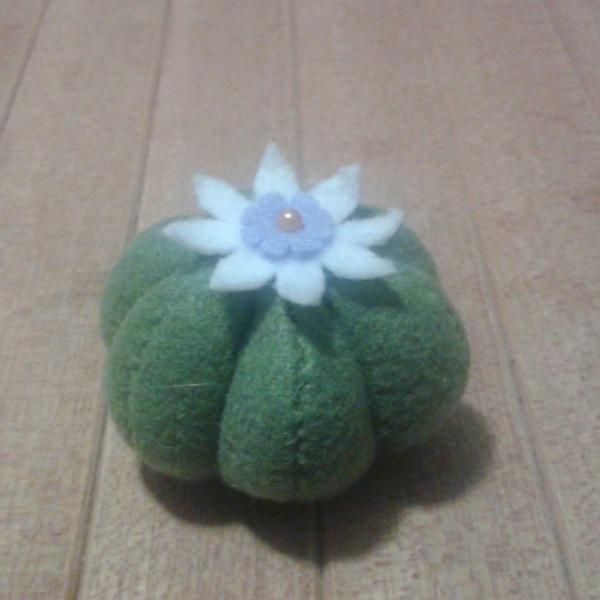Cake or Cactus Keychain / Pincushions picture