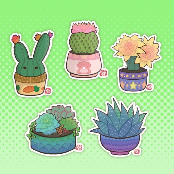 Potted Plants