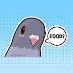 Food Pigeon Gray