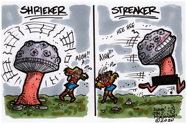 Shrieker picture