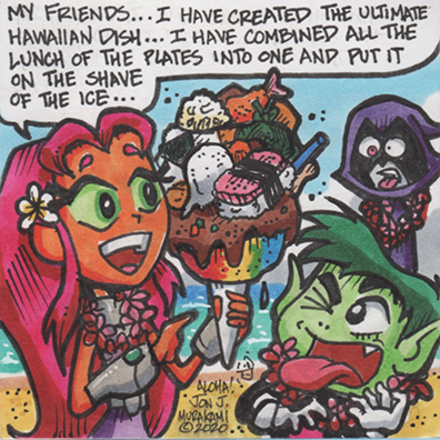 Teen Titans Go in Hawaii