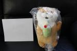 otter with melon soda plush