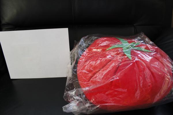 tomato plush picture