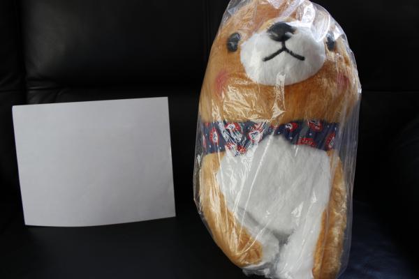 Mameshiba daruma dog plush