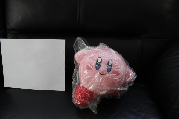 Kirby plush picture