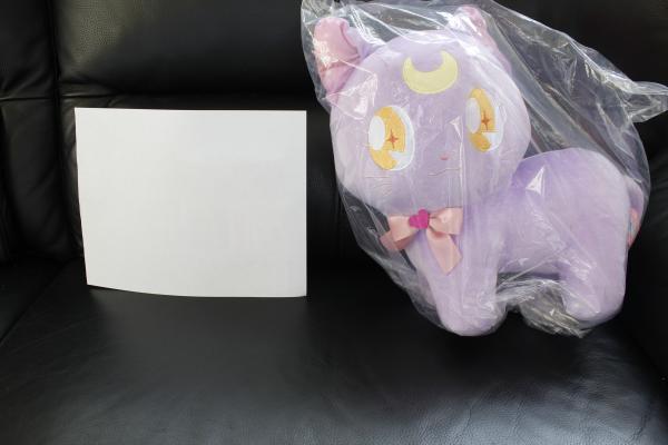 Luna plush picture