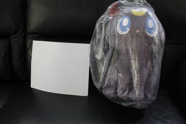 Luna plush