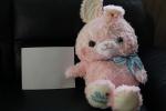 Rosie Bunny plush