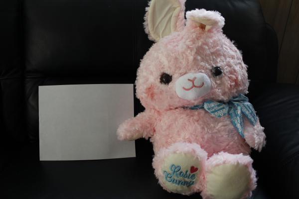 Rosie Bunny plush