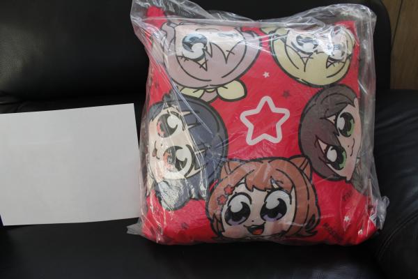 BanG Dream! pillow picture