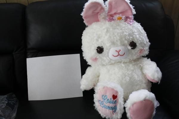 Rosie Bunny plush picture