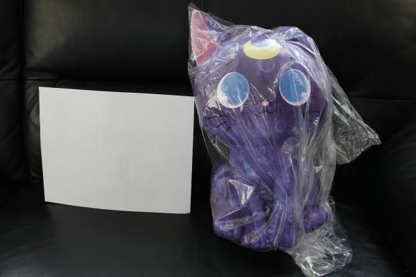 Luna plush picture