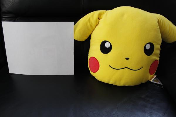 Pikachu cushion picture